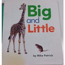BIG AND lITTLE BY MIKE PATRICK by houghton mifflin BOOK 10 RED (121-17)