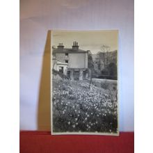 THE HOUSE OF EDUCATION, AMBLESIDE, CUMBRIA unused antique postcard RP by Banks=