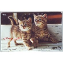 Kittens V4 Japan NTT Phone Card