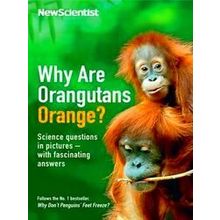 Why are Orangutans Orange?