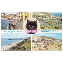 multiview, BOSCOMBE, Hampshire used vintage postcard by E T W Dennis not posted=