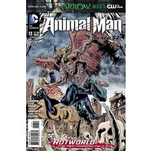 Animal Man (Vol 2) # 013 NM MODERN AGE COMICS