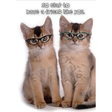 So Glad To Have A Friend Like You - Friendship Greeting Card - 00784