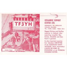 Reykjavik Iceland Export Centre QSL Radio 1970s Rare Card