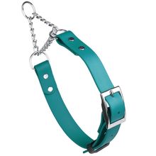 Dog Pet Martingale Collar with Metal Buckle W 1" x L 14"-20" Teal