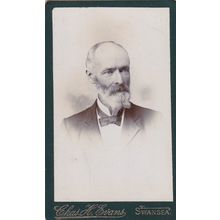 VICT. CDV PHOTO -DAPPER BEARDED MAN BY CHAS EVANS, SWANSEA