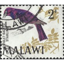 MALAWI, BIRD, Violet-backed starling, violet 1968, 2d