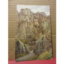 CHEDDAR CLIFFS by A R Quinton SOMERSET. unused vintage postcard by J. Salmon =