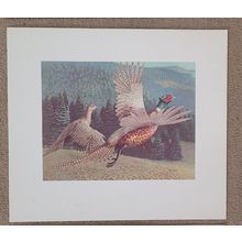 Stan Galli Pheasants 20 X 22 3/4 Weyerhaueser Wildlife 1960'S Art Print