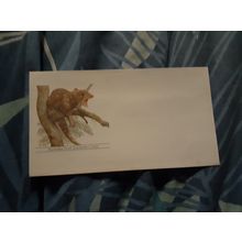 australia post souvenir cover tiger quoll mint