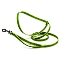 Dogline Rubber Infused Nylon Walking Leash W3/4" x L8' - Green