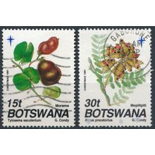 Christmas, Seed Pods: 15t & 30t - Botswana 1991 - FH - SG 722/3