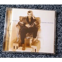 Rod Stewart - Spanner In The Works (1995) CD
