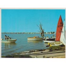 Summer Days in Lake Bonney Barmera South Australia Postcard