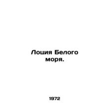 White Sea Lotion. In Russian (ask us if in doubt)/Lotsiya Belogo morya.