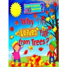 Why Do Leaves Fall From Trees