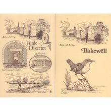 Bakewell Dipper Bird Cumbria 2x Artist Rare Postcard s