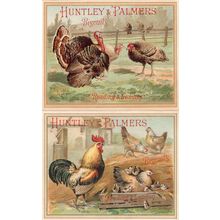 Huntley & Palmers Reading Hen Farming 2x Old Trade Cards