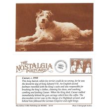 Postcard King Edward VII's Fox Terrier Caesar c1910 Dog Royal Family - Nostalgia