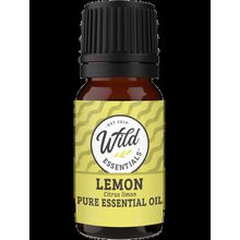 Essential Oils (Single Note) [ ]