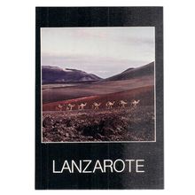 CAMELS, LANZAROTE, ISLAS CANARIA, SPAIN used postcard =