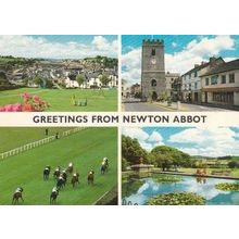 Newton Abbot Race Course Horse Racing Photo Postcard
