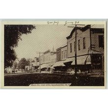 New York Lyndonville Main St East Side Street Scene w/Old Buildings Horses~280