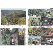 Regiao Demarcada Do Douro Wine Fields Vineyards Portugal 4x Postcard s