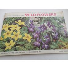 Brooke Bond - Wild Flowers - Complete Album with Picture Cards