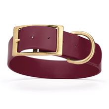 Dog Pet Collar with Brass Hardware Size L W 1.5” L 16” - 20” Merlot Burgundy