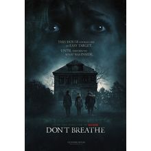 Don_t Breathe (2016)_2 Movie Film Poster Canvas iconic design