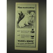 1948 Black & White Scotch Ad - Hello Good-Looking!