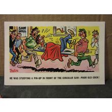 SAUCY SEASIDE POSTCARD unused. D. Constance Ltd. no 213 humour Pedro saw mill #