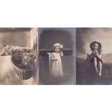 This Is My Cat Prussia Handcoloured Art Studies 3x Postcard s