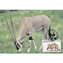 Beisa Oryx Antelope Eritria WWF Stamp First Day Cover Postcard