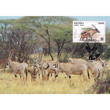 Beisa Oryx Antelope Eritria WWF Stamp FDC First Day Cover Postcard
