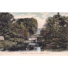 Colnbrook A Peep On The Colne at Poyle Antique Bucks Postcard