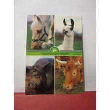 WOOD GREEN ANIMAL SHELTERS, WOOD GREEN, London unused postcard (a) =