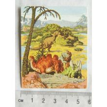 1971 Wall's Magicard No. 2 Stegosaurus