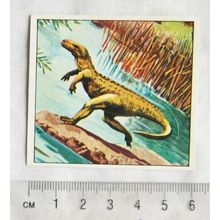 1978 Texan Prehistoric Animals sticker No. 2 Euparkeria