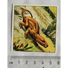 1978 Texan Prehistoric Animals sticker No. 16 Oligokuyphus