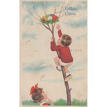 Daredevil Swiss Tree Climber Climbing Boy Easter Old Postcard