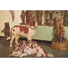 Dogs Woodcarvings at Brienz Switzerland Postcard