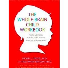 Whole Brain Child Workbook