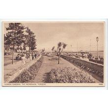 Sunken Gardens The Promenade Torquay Devon 1951 Postcard 18408