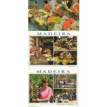 Funchal Flower Arranging Market Traders Shop Portugal Girls 3x Postcard