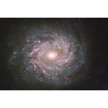 Spiral Galaxy NGC 3982 Ursa Major Constellation Milky Way Postcard