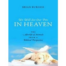 We Will See Our Pets In Heaven
