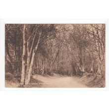 Old Roman Road Green Street Green Postcard Kent