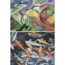Dutch Fish Painting Art Illustrated 3x Rare Amsterdam Postcard s